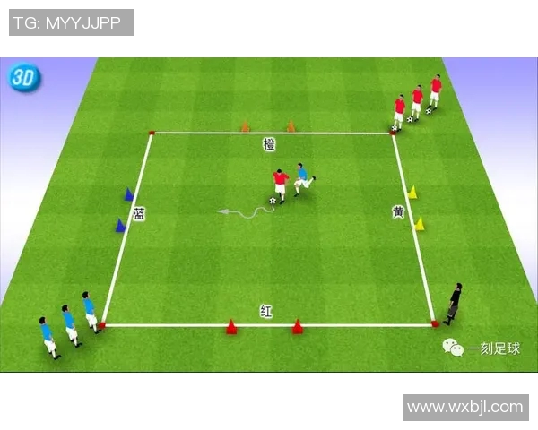 十一区足球队明星球员阵容解析与成长历程详解 十一区足球队明星球员阵容解析与成长历程详解